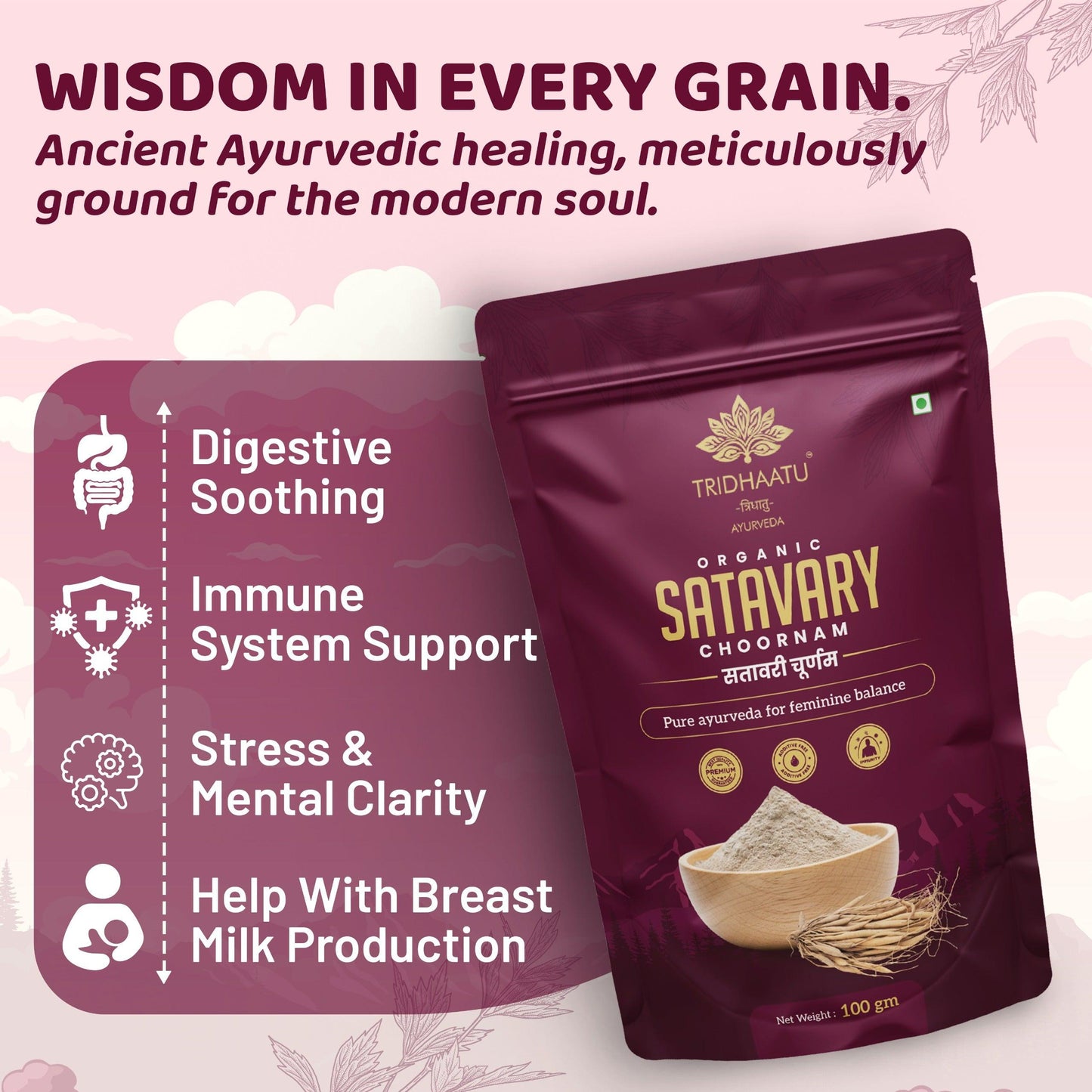Premium Satavary / Satavari /Shatavari Supplement Powder | For breastfeeding with Shatavari to Increase Breast Milk | Nourishes Lactating Mothers | Promotes Postnatal Recovery & Energy | 2 Scoops Per Serving With Milk | Natural & Pure (100 gms).