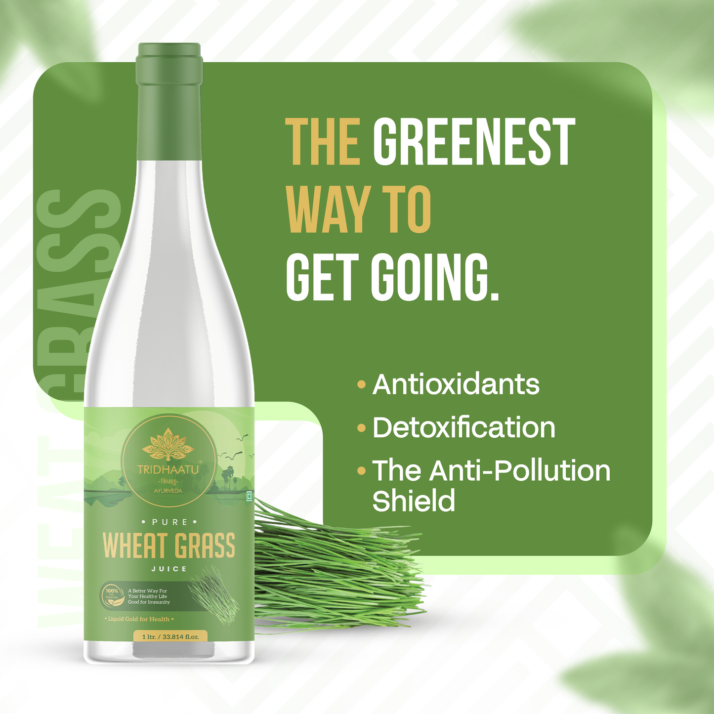 Pure Wheatgrass Juice - 1L Detox & Haemoglobin Support | Pure Chlorophyll Rich Detox Drink | Boosts Haemoglobin & Immunity | Natural Energy & Digestion Support