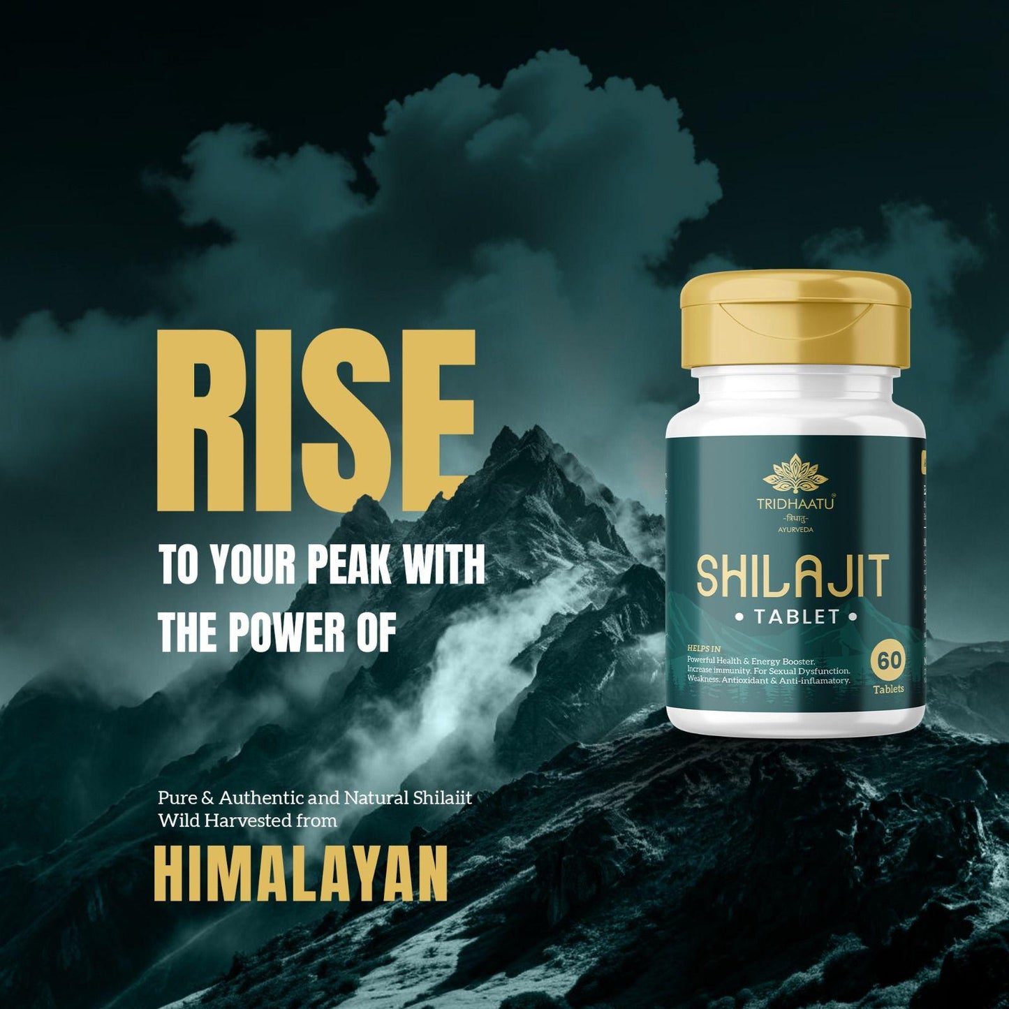 Pure Himalayan Shilajit/Shilajeet  Tablets (500mg) - 60 Tabs | 100% Natural Ayurvedic Supplement for Men & Women | Boosts Energy, Stamina, Endurance & Vitality | Rich in Fulvic Acid & 80+ Trace Minerals. himalay