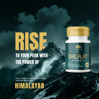 Pure Himalayan Shilajit/Shilajeet  Tablets (500mg) - 60 Tabs | 100% Natural Ayurvedic Supplement for Men & Women | Boosts Energy, Stamina, Endurance & Vitality | Rich in Fulvic Acid & 80+ Trace Minerals. himalay
