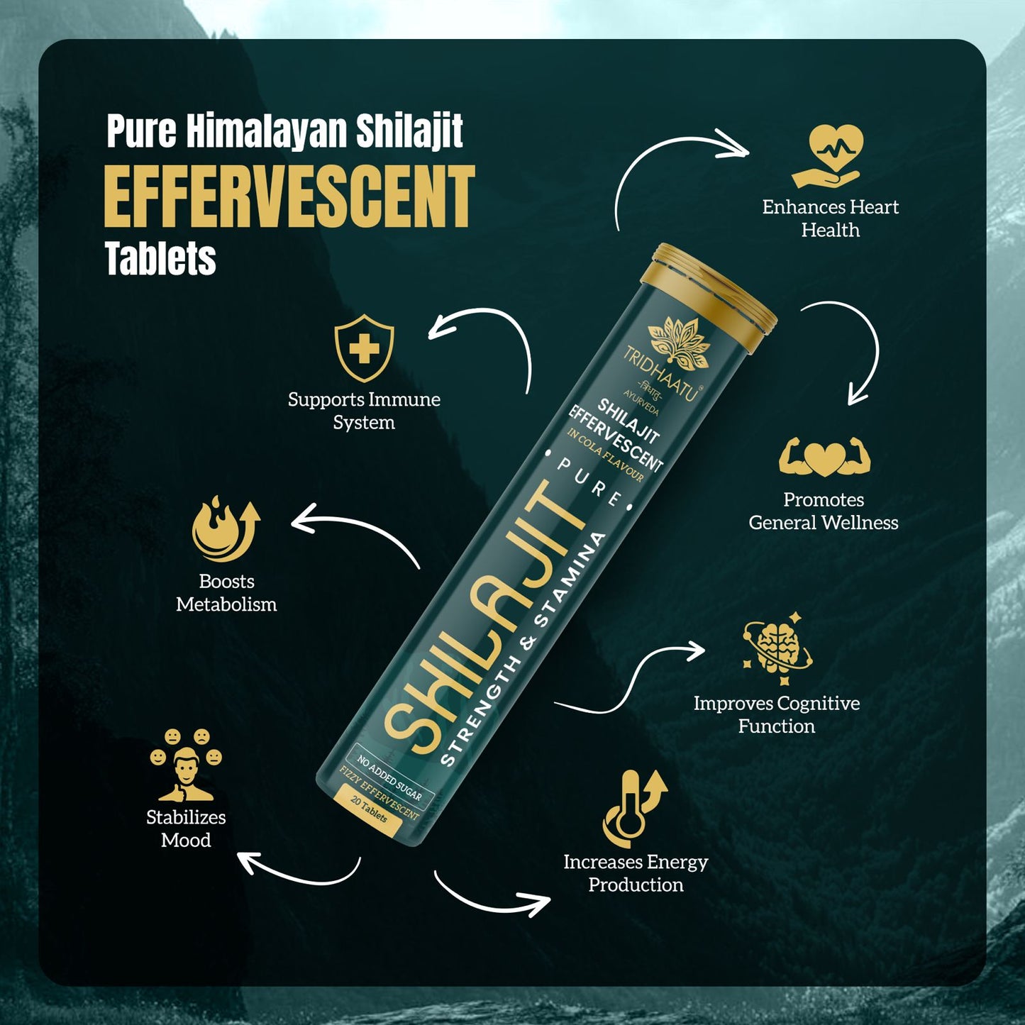 Pure Shilajit Effervescent Tablets | 20 Tablet Pack