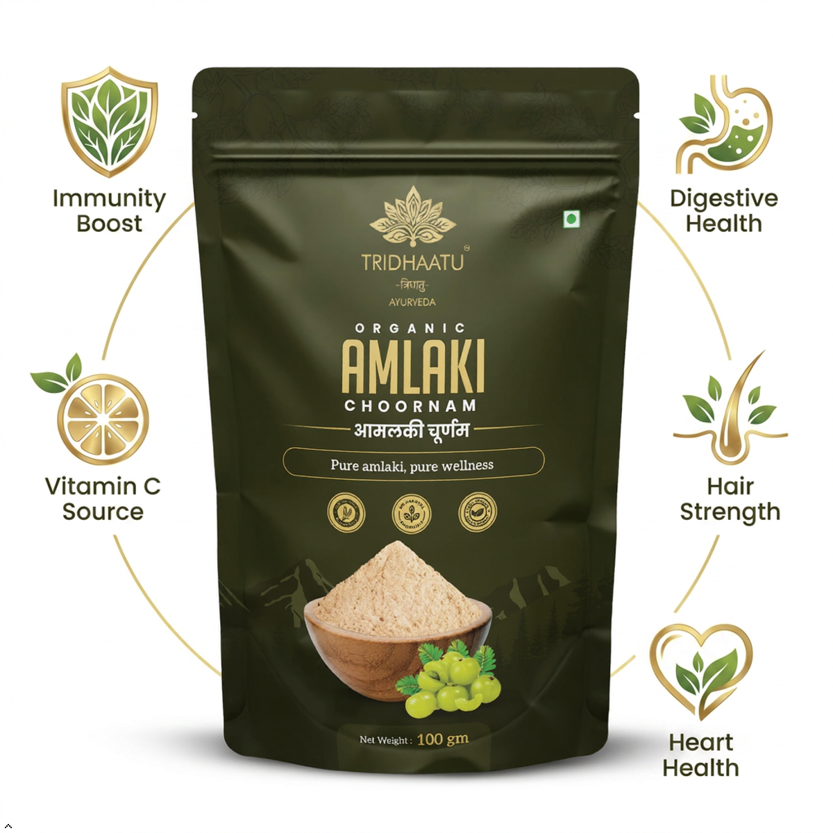 Tridhaatu Organic Amlaki Choornam packaging with health benefits icons on a white background